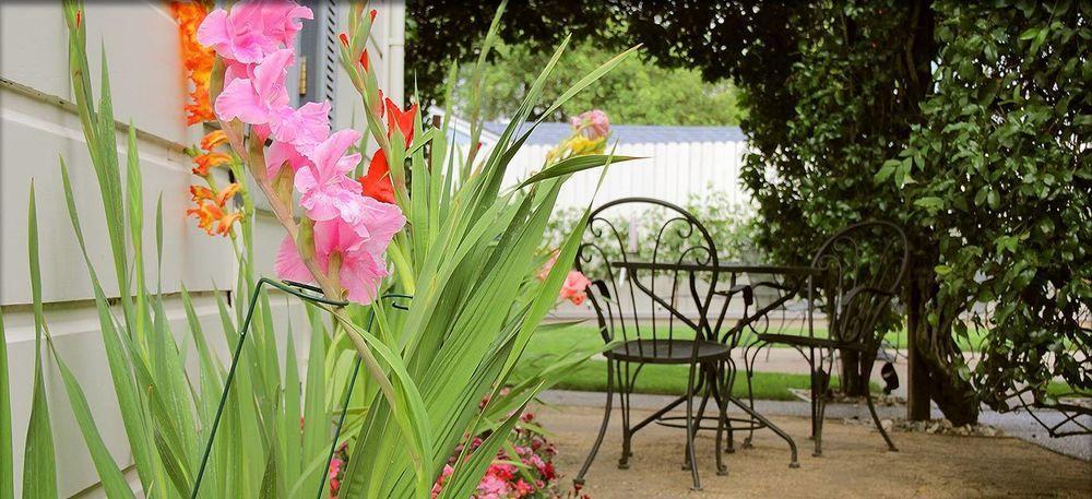 Arbor Guest House Napa Exterior foto