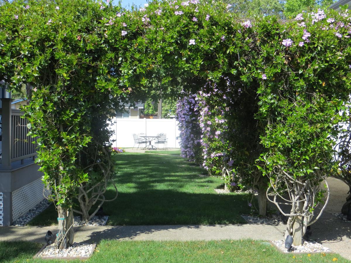 Arbor Guest House Napa Exterior foto